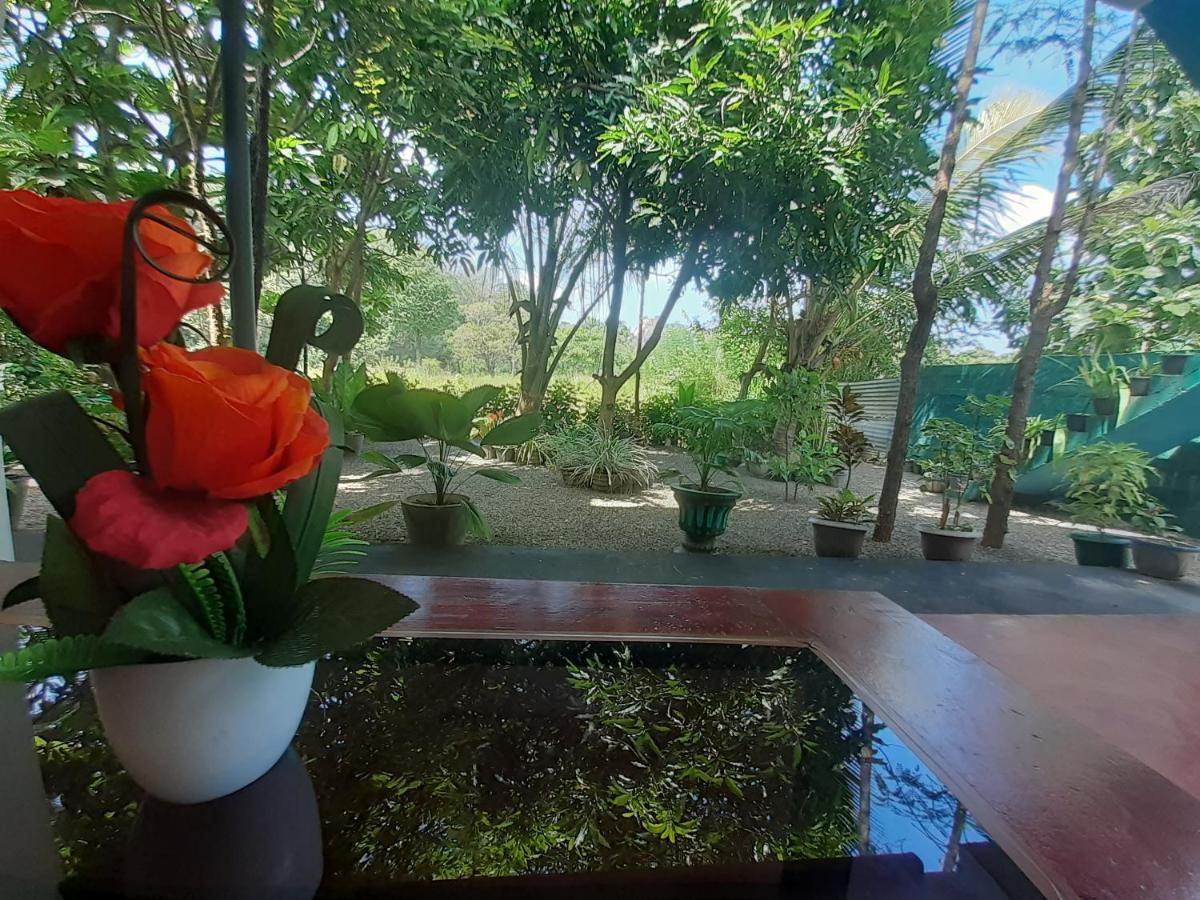 Palace View Homestay