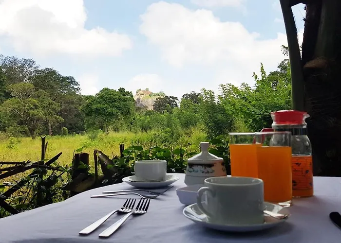 Sigiriya Palace View