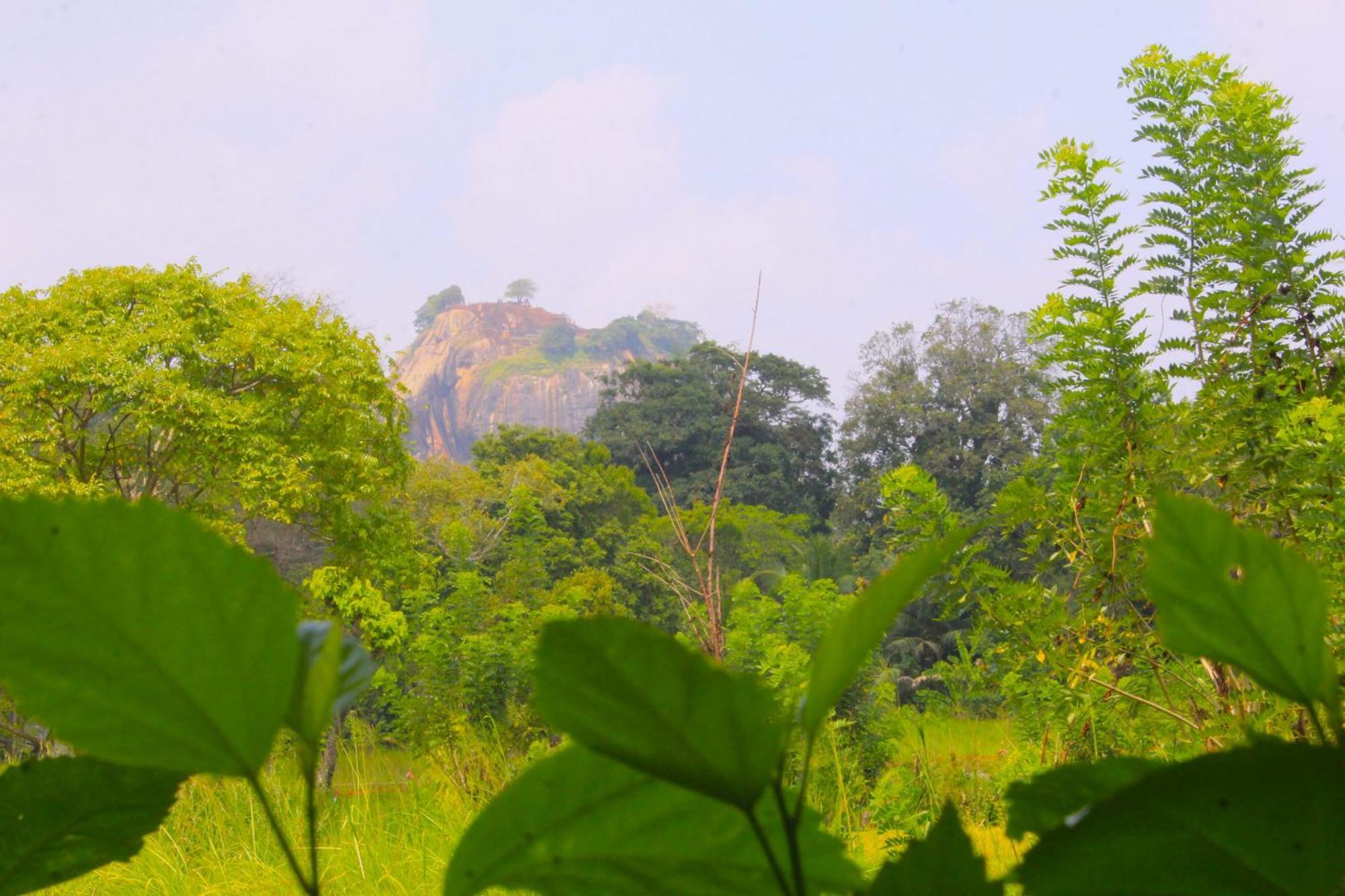 Palace View * Sigiriya