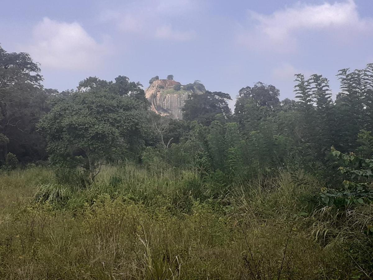 Palace View Sigiriya